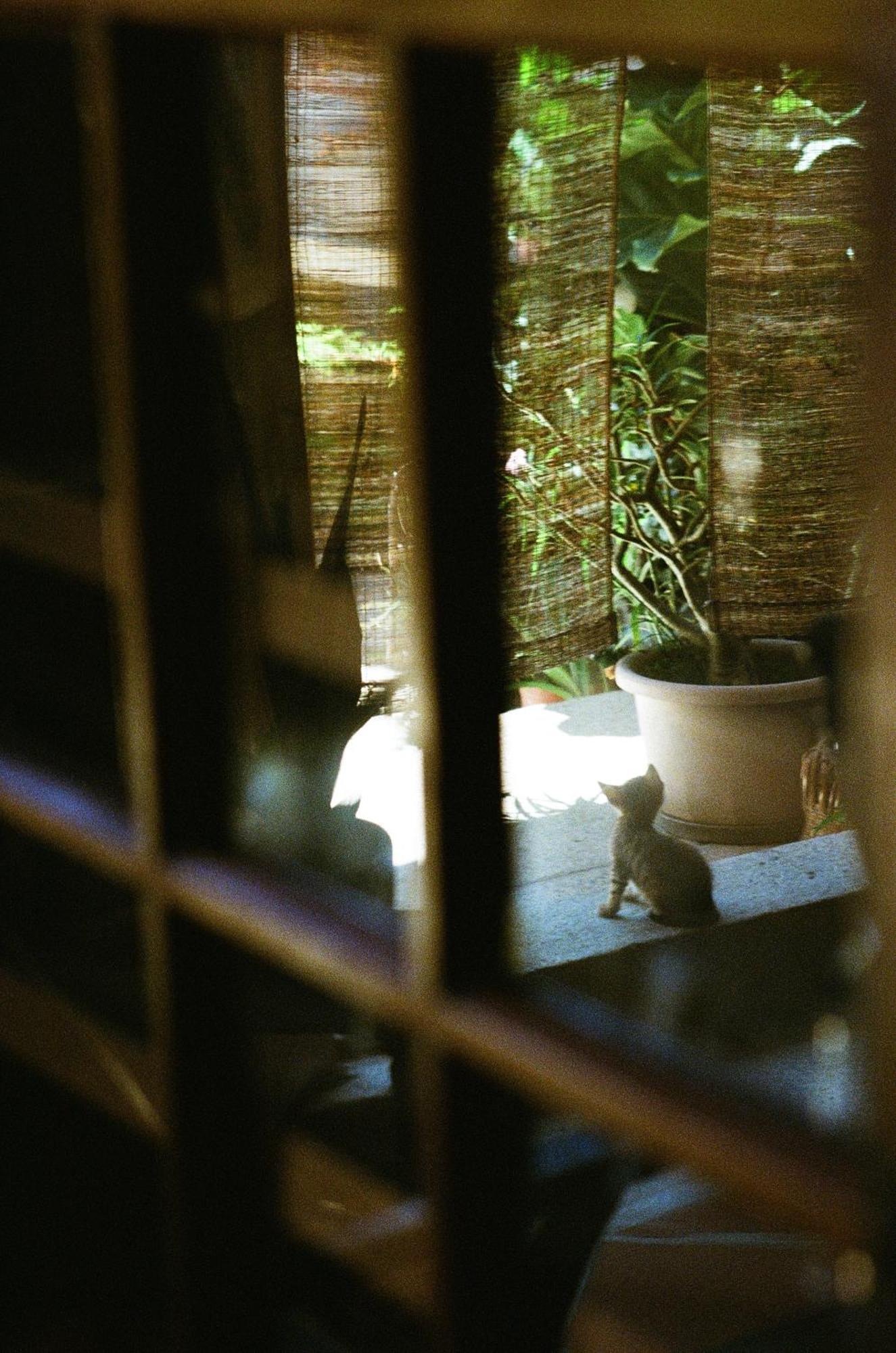 Dwell In Quemoy Homestay จินเฉิง ภายนอก รูปภาพ